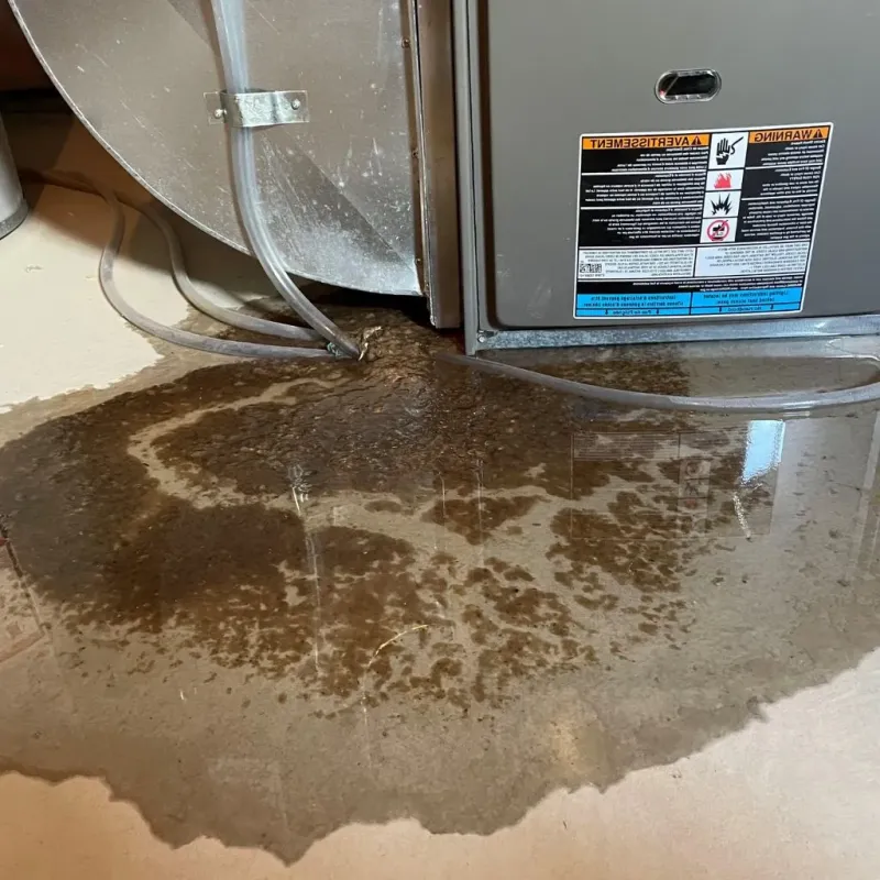 Pipe Burst and Leak Restoration in St Johnsbury, VT