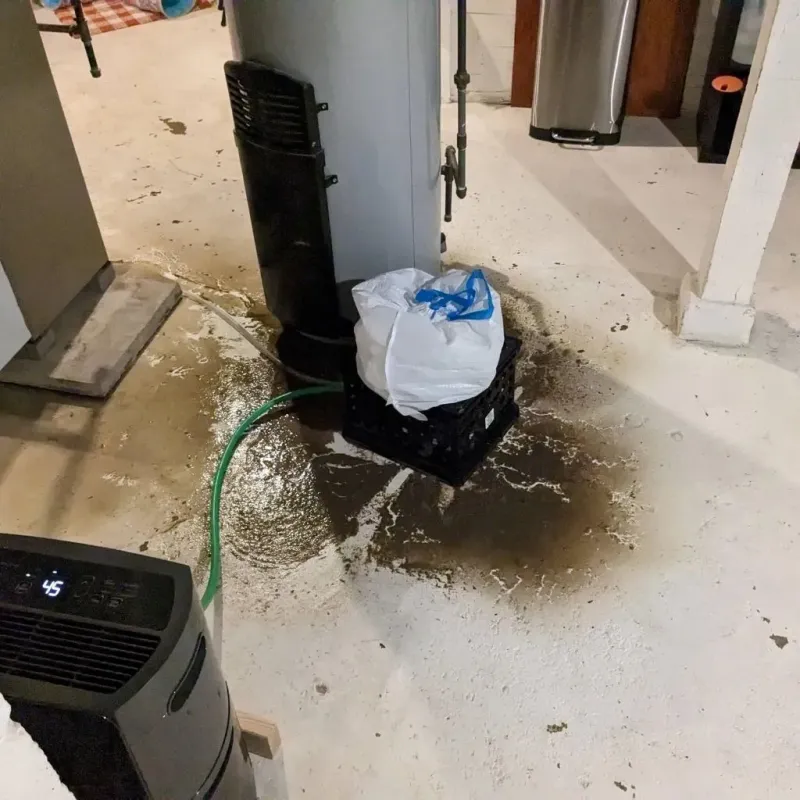 Sewage Backup Cleanup Service in St Johnsbury, VT